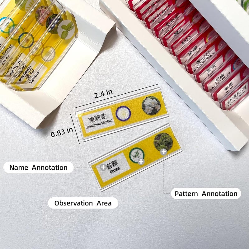 VEOOK 48 Prepared Microscope Slides Set, Insects Animal Plant Fruit Vegetable Specimens for Kids, Biological Learning Resource Specimens for Beginner Classroom Basic Science Education (MS-01) - Image 5